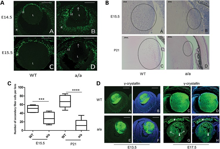 Figure 4.