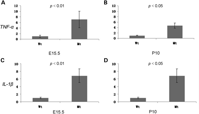 Figure 7.