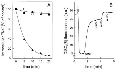 FIG. 1