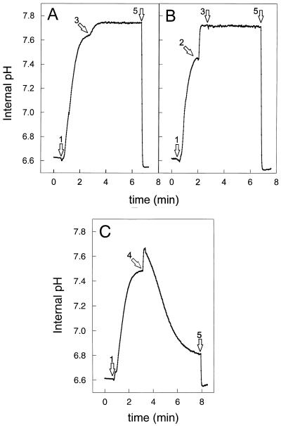 FIG. 4