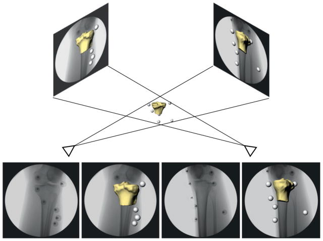 Fig. 2