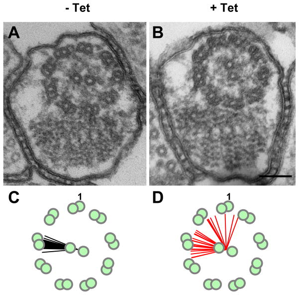 Fig. 4