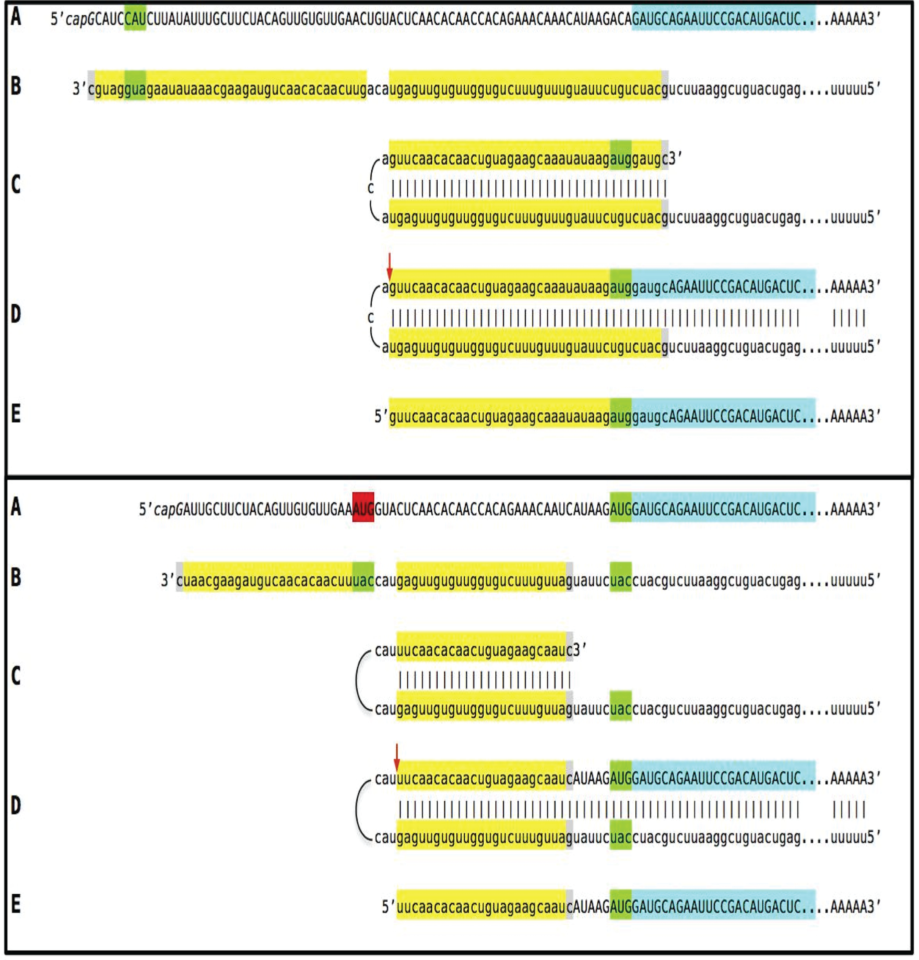 Figure 7: