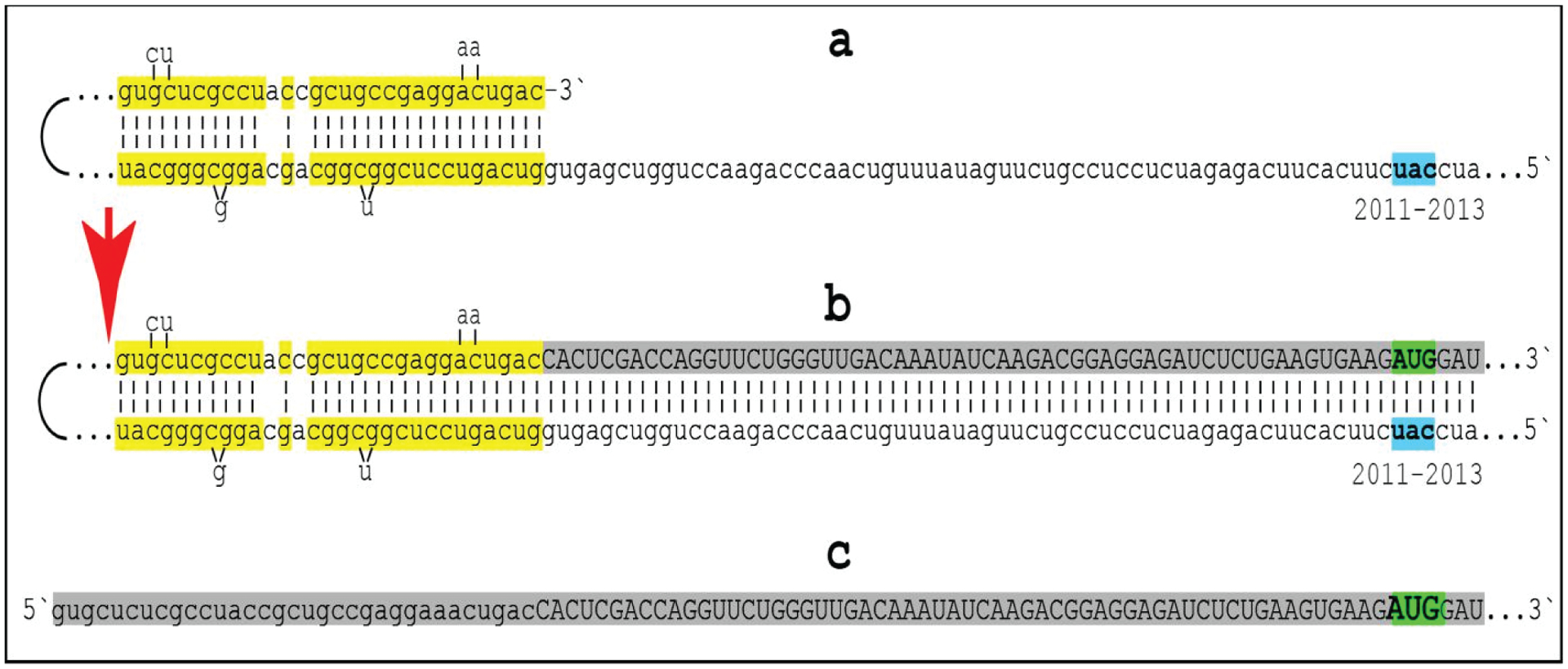 Figure 3: