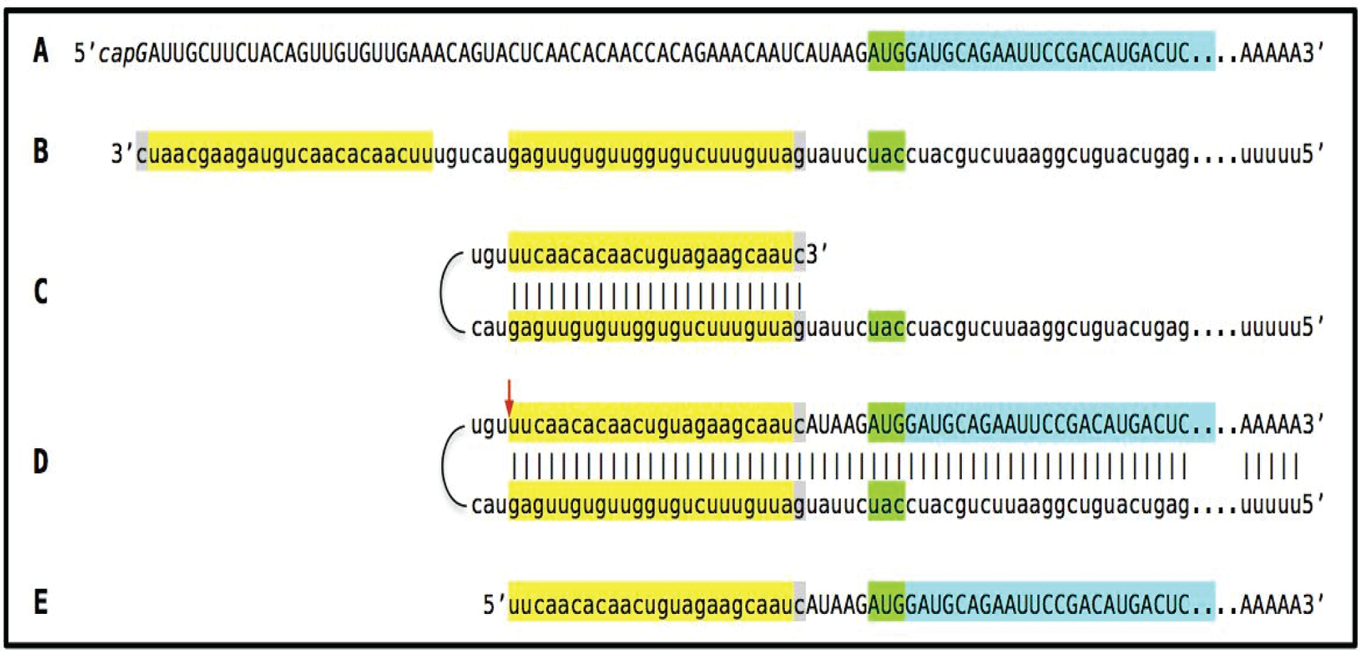 Figure 6: