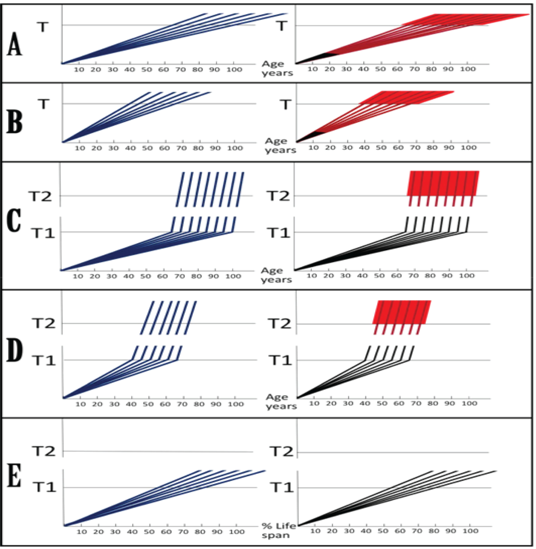 Figure 5: