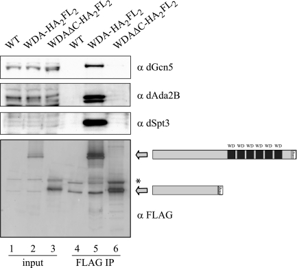 FIG. 5.