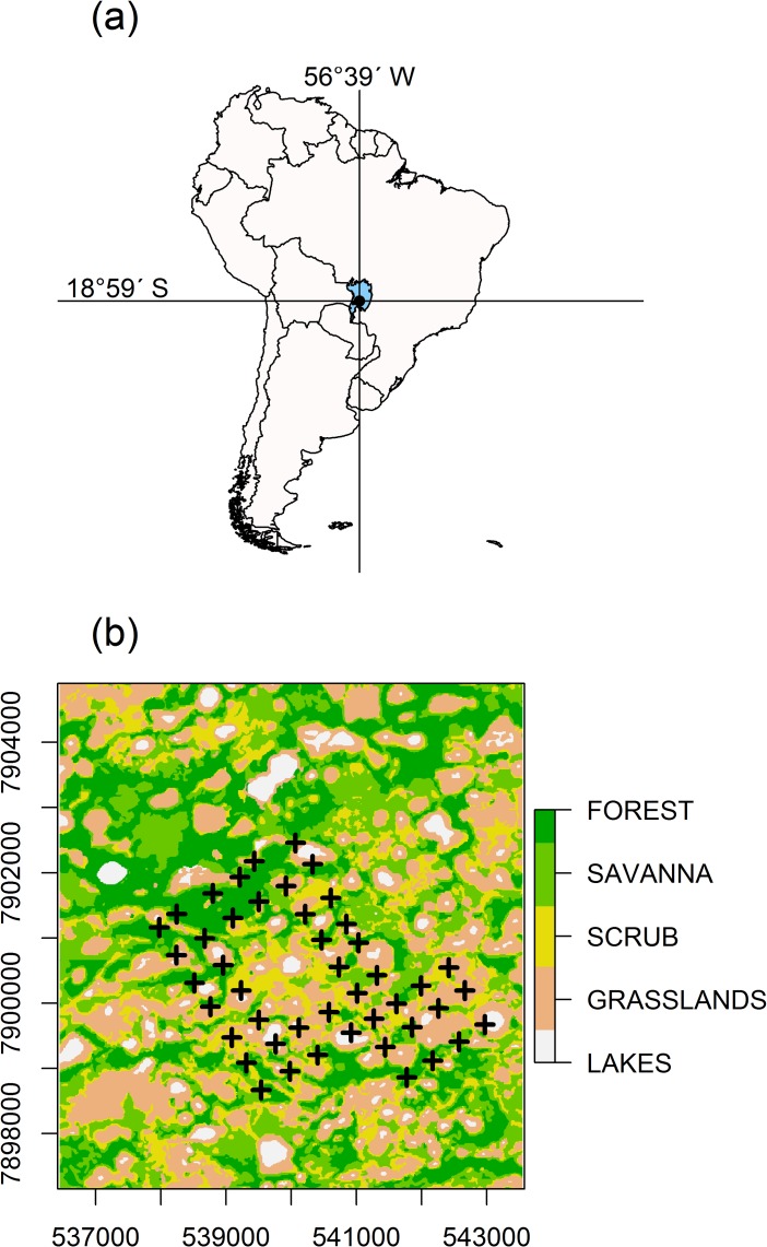 Fig 1