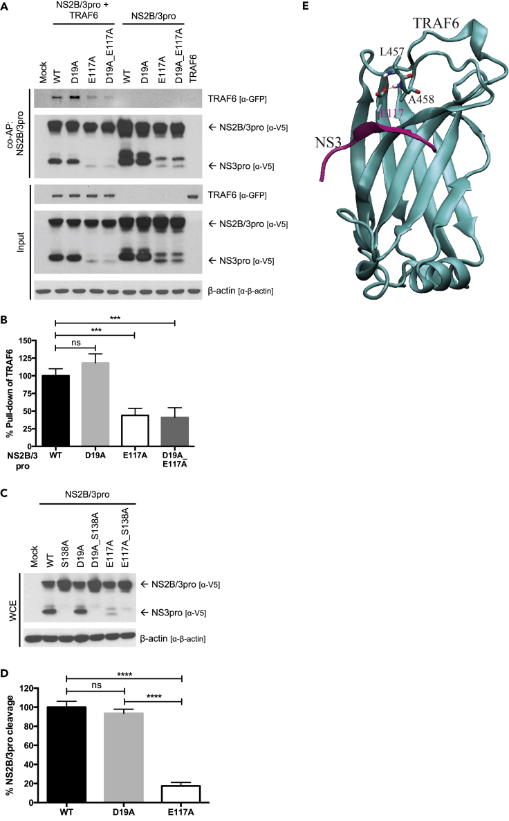 Figure 3