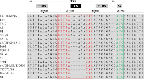 Figure 2