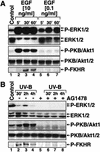 FIG. 12.