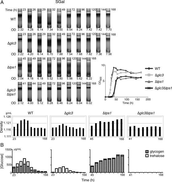 Figure 3.