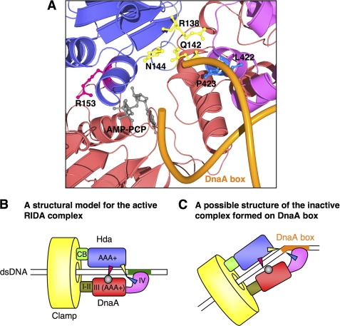 FIGURE 7.