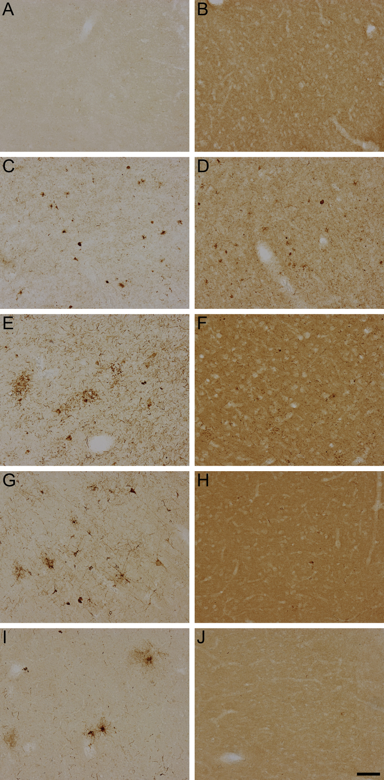 Supplemental Figure S1