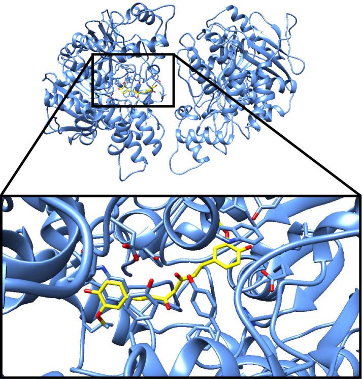 Fig. 3