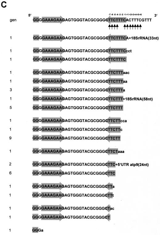 FIG. 7