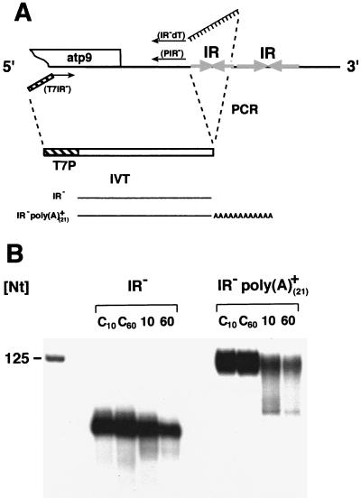 FIG. 6