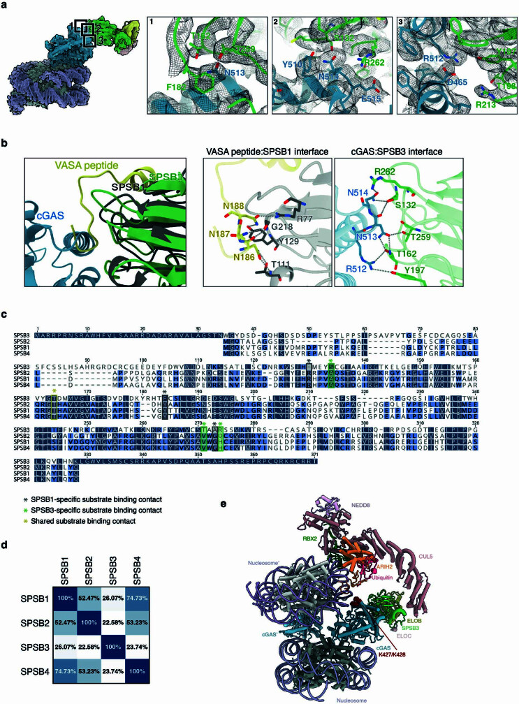 Extended Data Fig. 8