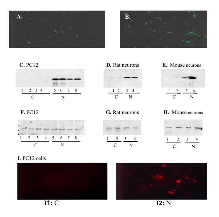 FIG.3