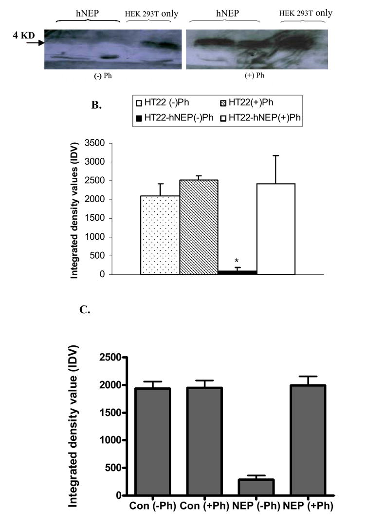 FIG.6