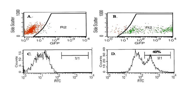 FIG.1