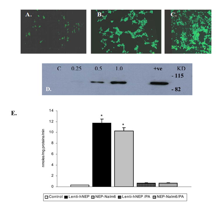 FIG.2