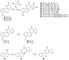 Scheme 4