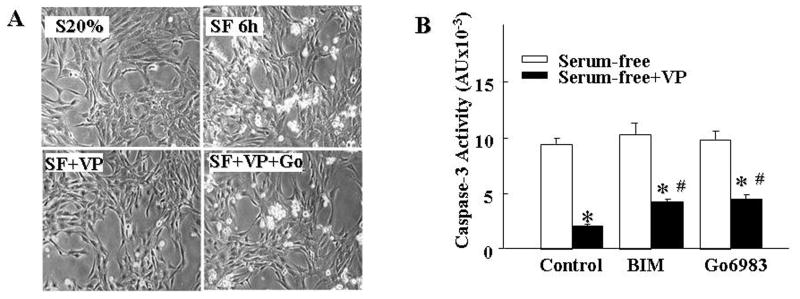 Fig.1