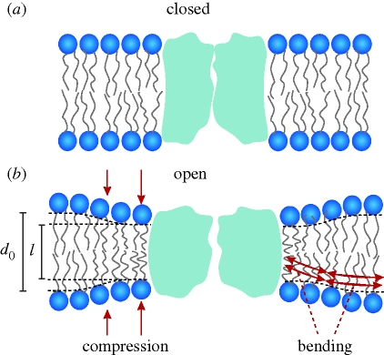 Figure 2.