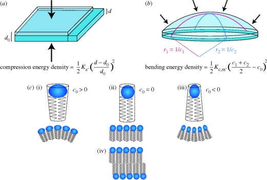 Figure 3.