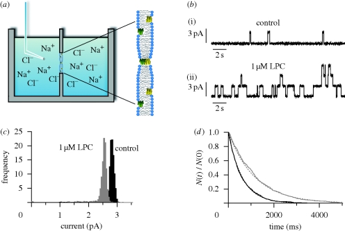 Figure 5.