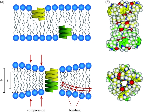 Figure 4.