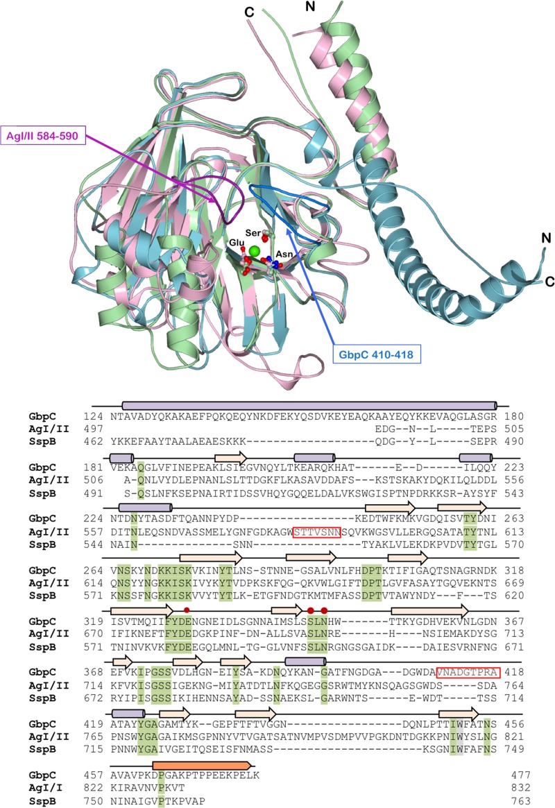 FIG 3