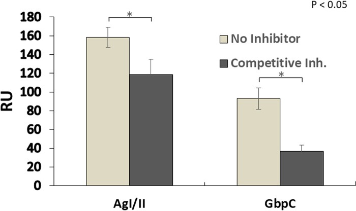 FIG 6