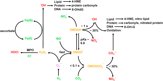 Fig. 2