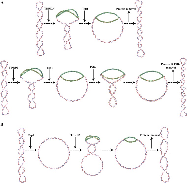 Fig. S1.