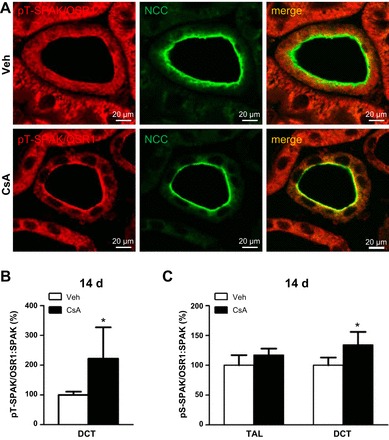 Fig. 9.