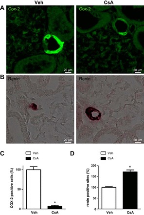 Fig. 10.