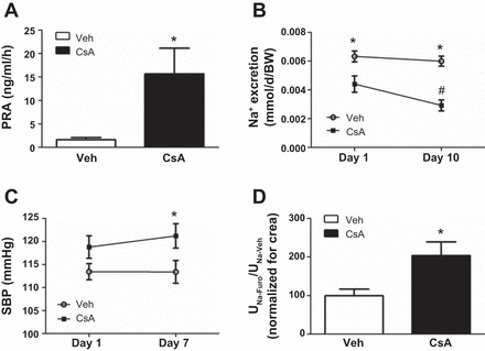 Fig. 11.