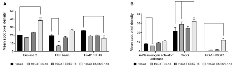 Fig. 6: