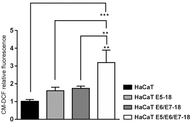 Fig. 4: