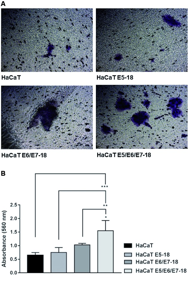 Fig. 3: