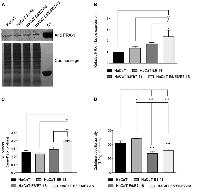 Fig. 5: