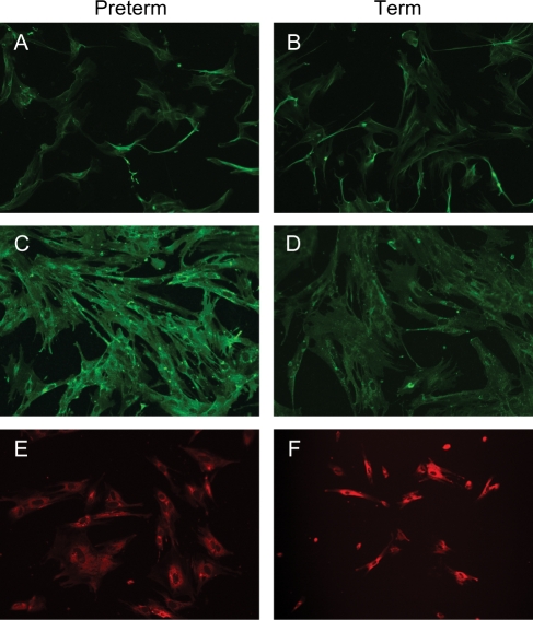 Figure 3: