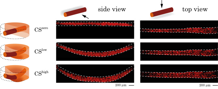 FIG. 1.