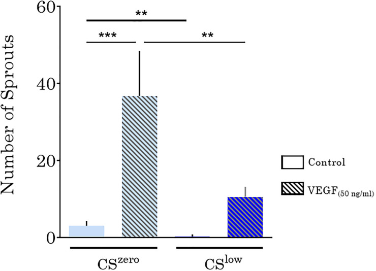 FIG. 10.