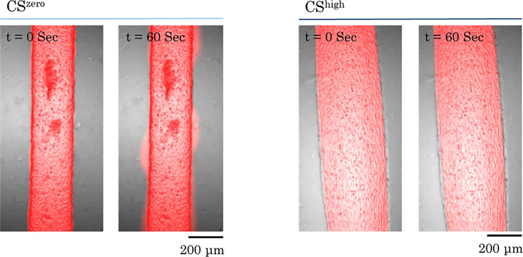 FIG. 7.