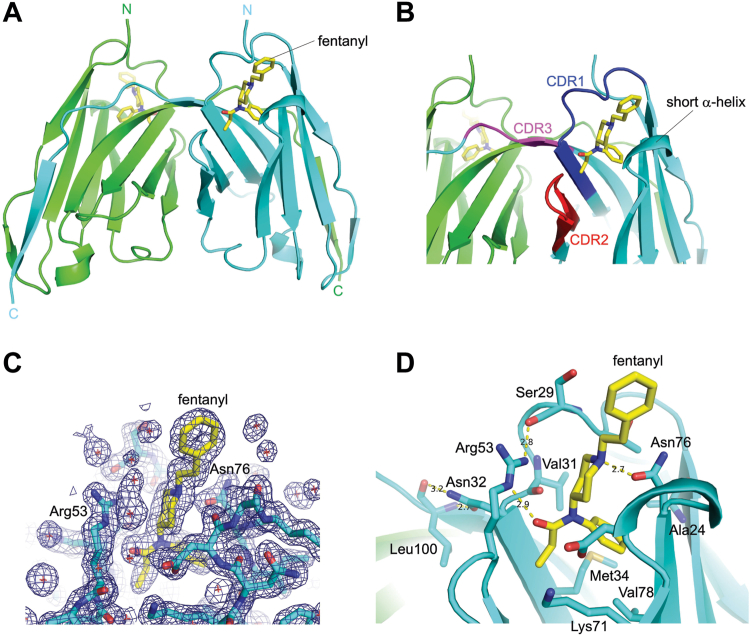 Figure 2