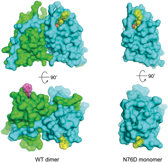 Figure 5