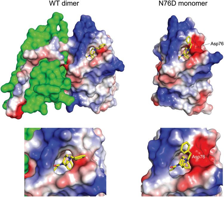 Figure 6